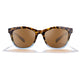 Zeal Duskwing Sunglass - Tortoise/Copper