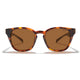 Zeal Windsor Sunglass - Matte Tortoise/Copper