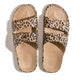 Freedom Moses - Kids Leo Camel - Barefoot Blvd